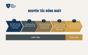 Nguyên tắc Đồng nhất