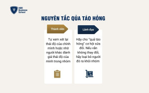 Nguyên tắc Quả táo hỏng