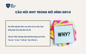 Câu hỏi Why?