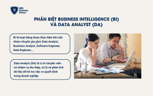 Phân biệt BI và DA