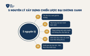 5 nguyên lý cơ bản của chiến lược đại dương xanh