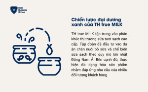 Chiến lược đại dương xanh của TH true MILK