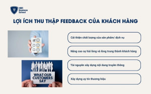 Lợi ích của việc thu thập feedback của khách hàng là gì?