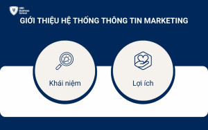 Tìm hiểu hệ thống thông tin marketing là gì và lợi ích của nó như thế nào