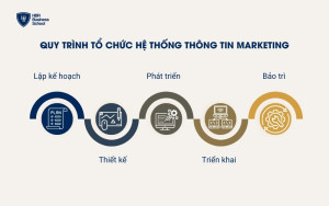 Quy trình giúp tổ chức hệ thống thông tin marketing hiệu quả