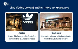 Adidas và Starbucks là 2 doanh nghiệp sử dụng hiệu quả hệ thống thông tin marketing