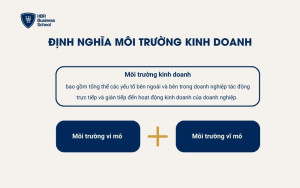 Định nghĩa môi trường kinh doanh