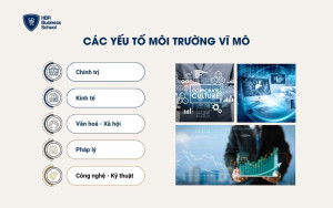 Các yếu tố môi trường vĩ mô