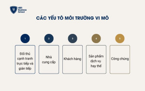 Các yếu tố môi trường vi mô