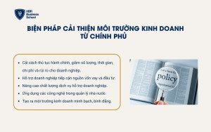 Biện pháp từ chính phủ