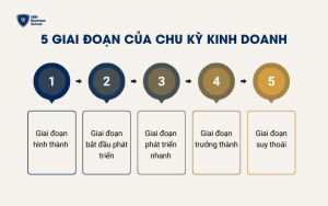 5 giai đoạn chính của chu kỳ kinh doanh