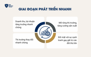 Giai đoạn phát triển nhanh