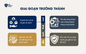 Giai đoạn trưởng thành trong chu kỳ kinh doanh