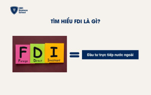 Tìm hiểu FDI là gì?