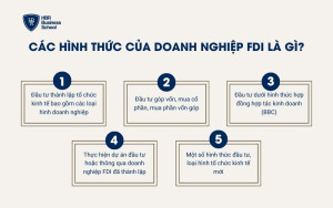 Các hình thức của doanh nghiệp FDI là gì?