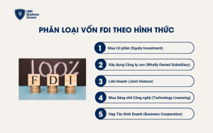 Phân loại vốn FDI theo hình thức