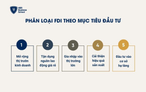 Phân loại FDI theo mục tiêu đầu tư