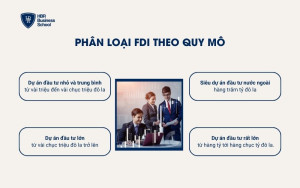 Phân loại FDI theo quy mô đầu tư