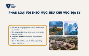 Ví dụ phân loại FDI theo mục tiêu khu vực địa lý