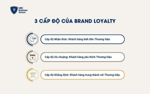 3 cấp độ của Brand Loyalty