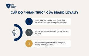 Brand Loyalty - Cấp độ Nhận thức