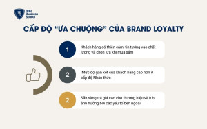 Brand Loyalty - Cấp độ Ưa chuộng