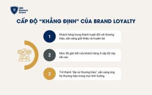 Brand Loyalty - Cấp độ Khẳng định