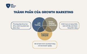 Thành phần của Growth Marketing