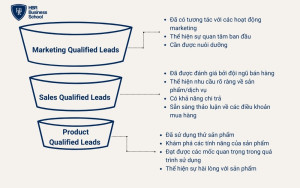 Phân biệt các loại Leads