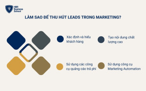 Cách để thu hút Leads trong marketing