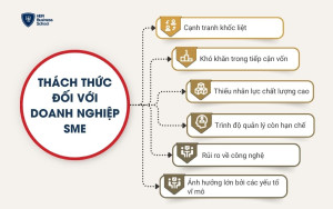 Thách thức đối với doanh nghiệp SME