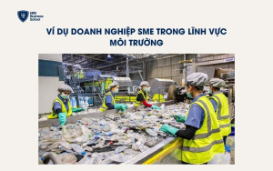 Ví dụ doanh nghiệp vừa và nhỏ trong lĩnh vực Môi trường