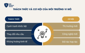 Môi trường vi mô tạo ra Thách thức và Cơ hội