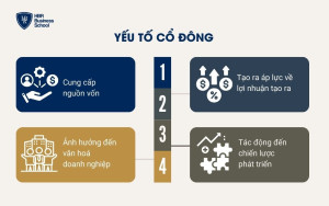 Yếu tố Cổ đông