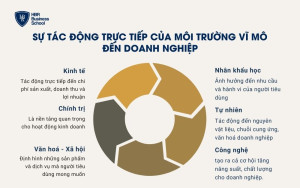 Tác động trực tiếp của môi trường vĩ mô đến doanh nghiệp