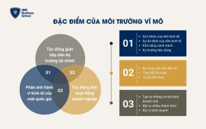 Đặc điểm của môi trường vĩ mô