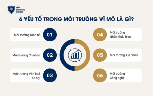 6 yếu tố trong môi trường vĩ mô là gì?