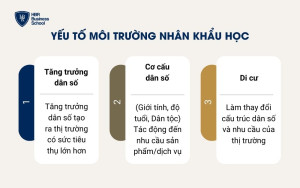 Yếu tố Môi trường Nhân khẩu học