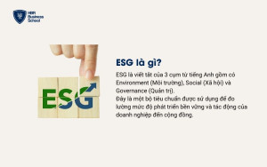 Tiêu chuẩn ESG là gì?