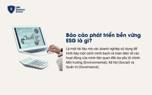 Báo cáo phát triển bền vững ESG là gì?