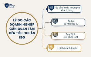 Lý do doanh nghiệp quan tâm đến tiêu chuẩn ESG là gì?