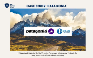 Câu chuyện thành công của Patagonia