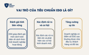 Vai trò của tiêu chuẩn ESG là gì?