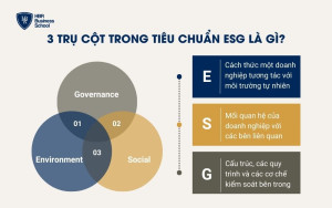 3 trụ cột trong tiêu chuẩn ESG là gì?