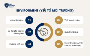 Environment (Yếu tố Môi trường)