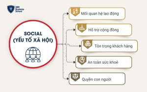 Social (Yếu tố Xã hội)