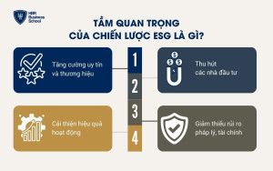 Tầm quan trọng của chiến lược ESG là gì?