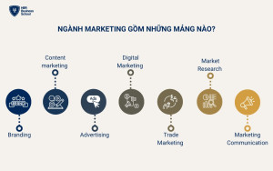 Marketing gồm những mảng nào? Marketing là một lĩnh vực rộng lớn, gồm nhiều mảng khác nhau