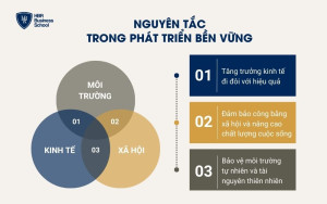 Nguyên tắc trong phát triển bền vững