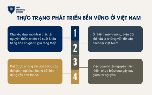 Thực trạng ở Việt Nam